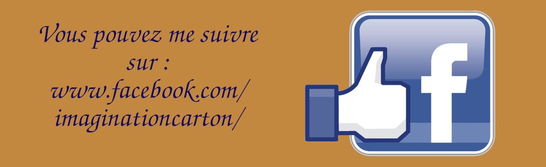 page facebook